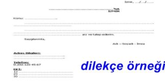 Yeni İş Yeri Talebi Dilekçesi