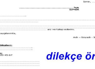 Yeni İş Yeri Talebi Dilekçesi